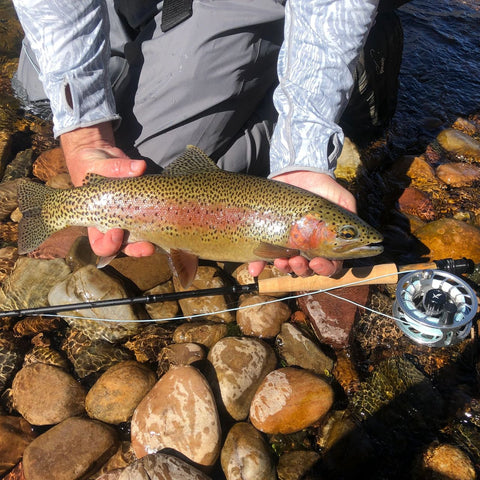 Rock Creek Trout Fishing in Montana