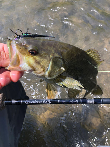 Escape from Quarantine, Iowa Smallmouth Bass on the Fly