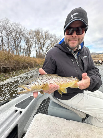 Streamer Eating Brown Trout of Montana's Clark Fork