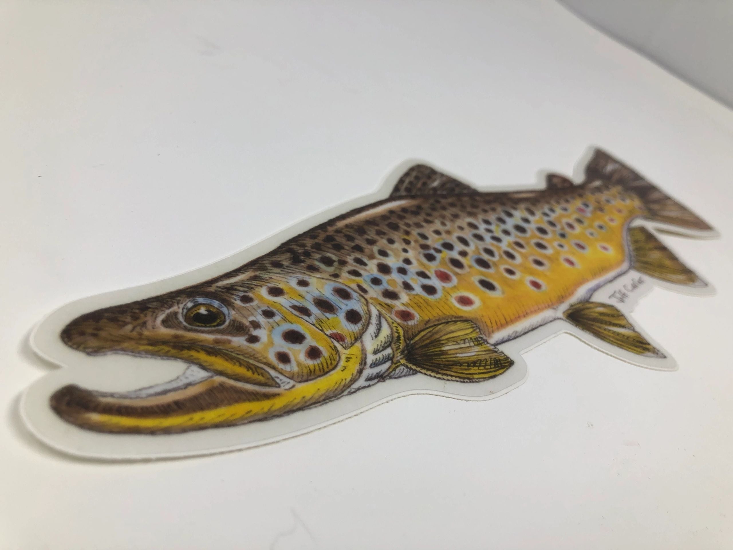Localwaters River Don Scotland Fly fishing sticker brown trout