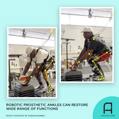 Researchers found that robotic prosthetic ankles can restore a wide range of functions in lower-limb prosthetic users.