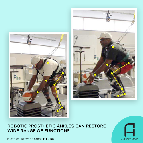 Researchers found that robotic prosthetic ankles can restore a wide range of functions in lower-limb prosthetic users.