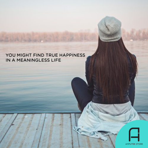 Find true happiness in a meaningless life.