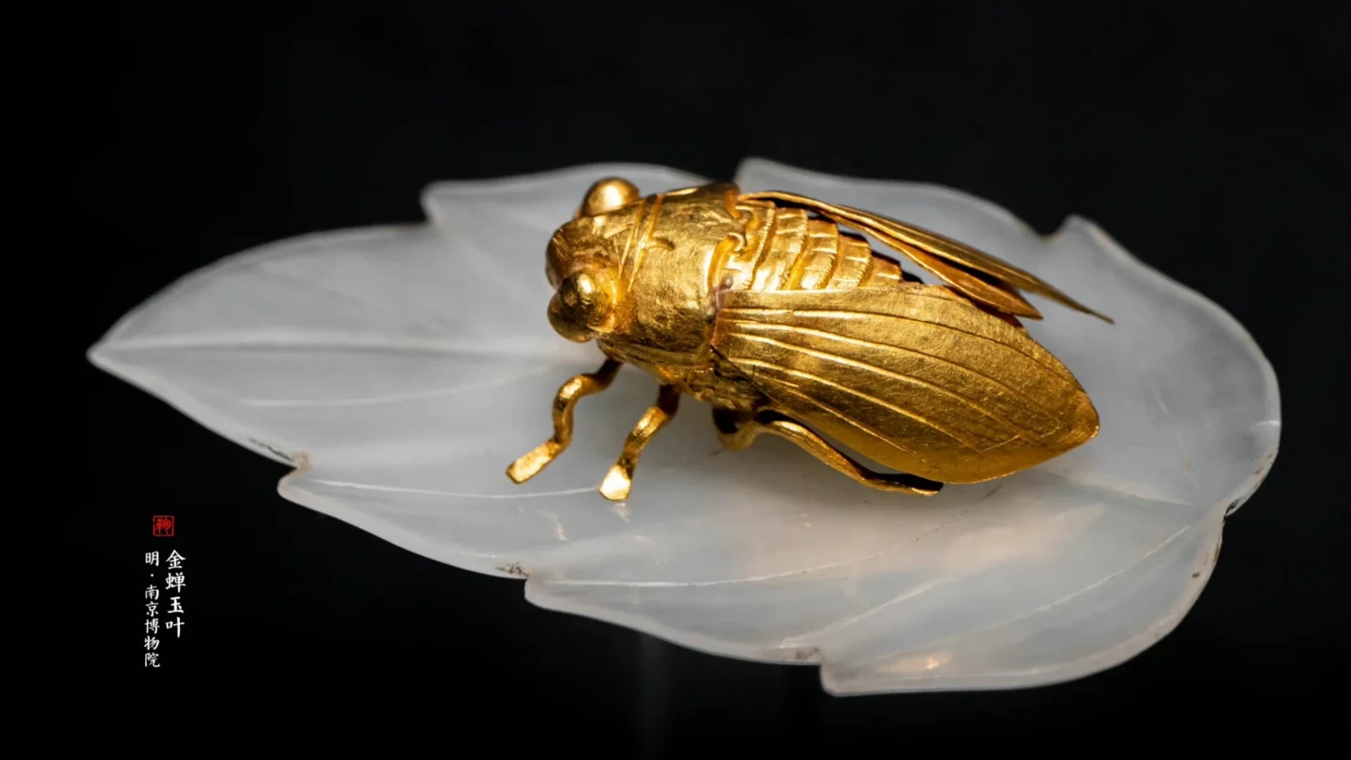 Ancient Ming golden cicada, symbol of immortality.