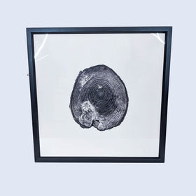 Image of Minimalist Tree Ring Print in Black Frame
