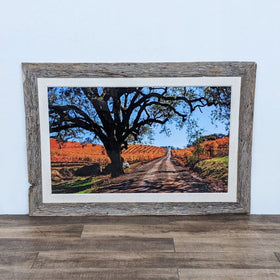 Image of Framed Sonoma Valley Vineyard Photograph