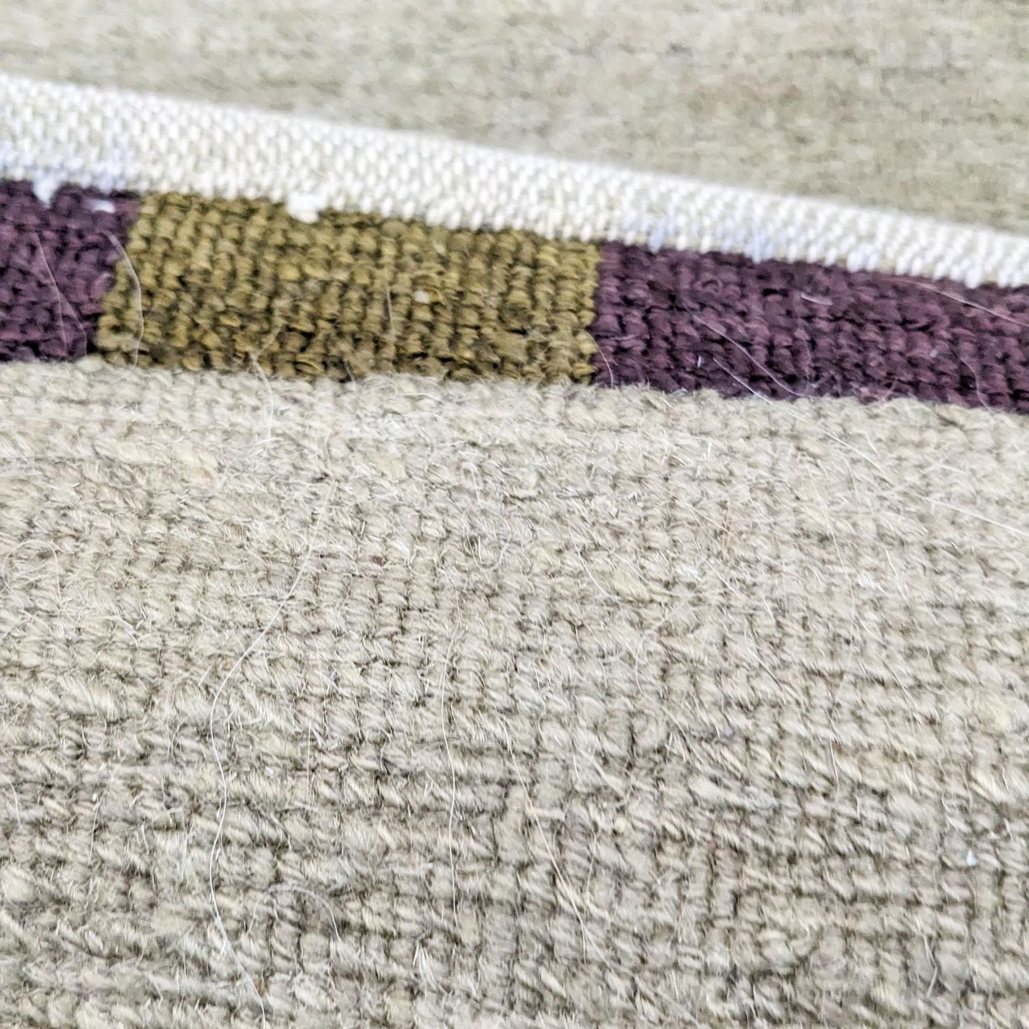 Detailed texture shot of a Reperch 4'x9'9" contemporary rug, focusing on the weave and border colors.