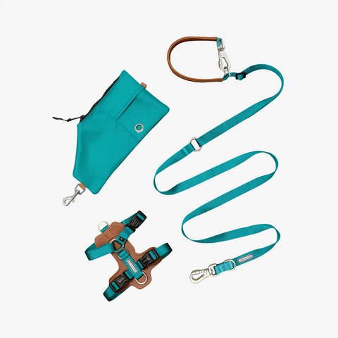 Multi-function Dog Harness Walk Kit  | Paw Journeys - Paw Journeys