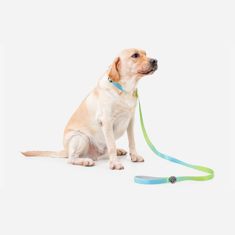 Paw Journeys Gradient Dog Leash Green-03