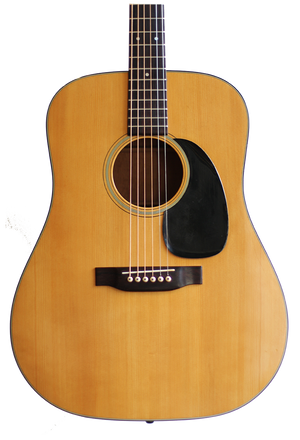 1969 martin d18