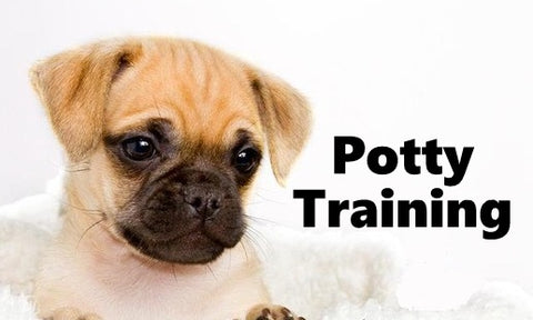 Chug Potty Training