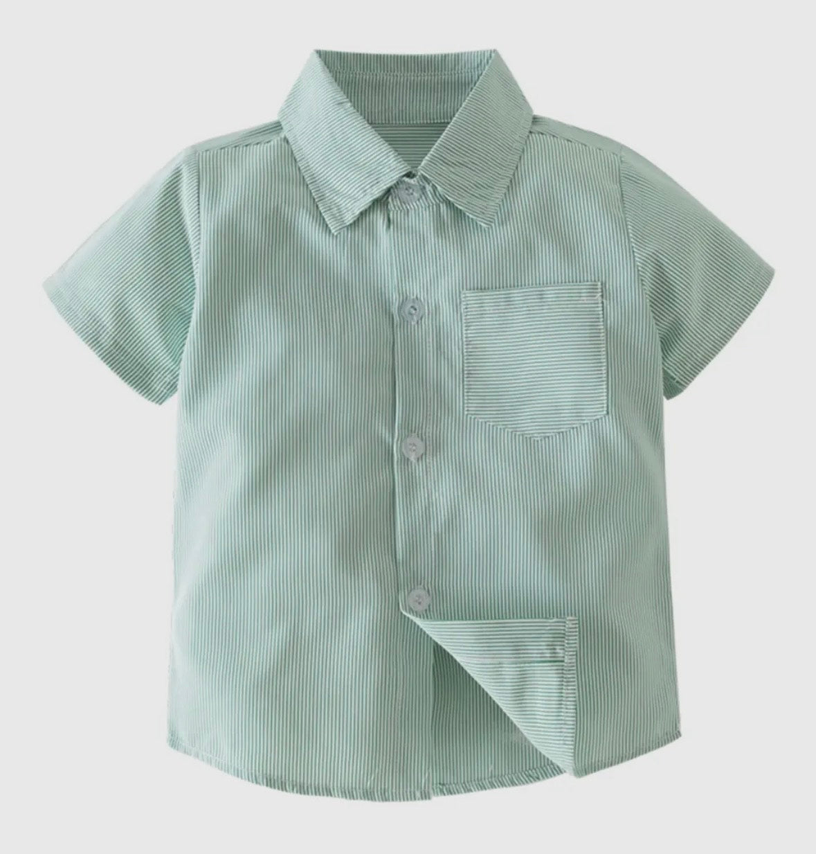 Green Striped Short Sleeve Button Down