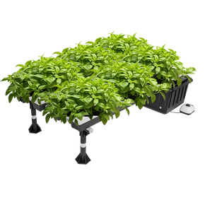 Super Flow Hydroponic System - 32-Site - SuperCloset