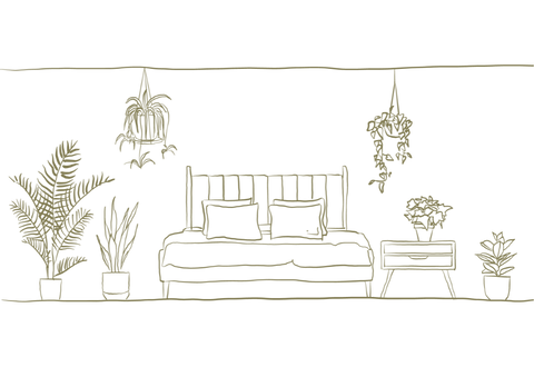 Hand drawn illustration of plants in a bedroom.