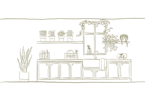 Hand drawn illustration of plants and herbs in a kitchen.