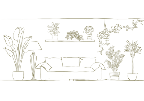 Hand drawn illustration of plants in a living room.
