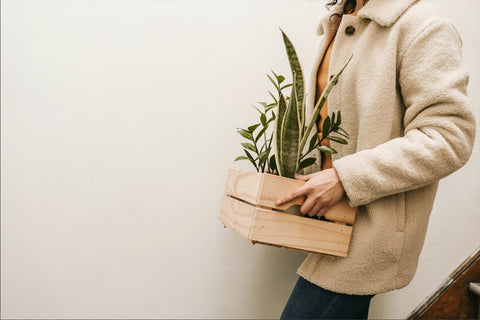 How to move your plants. Woman carrying crate full of plants outside in the cold.