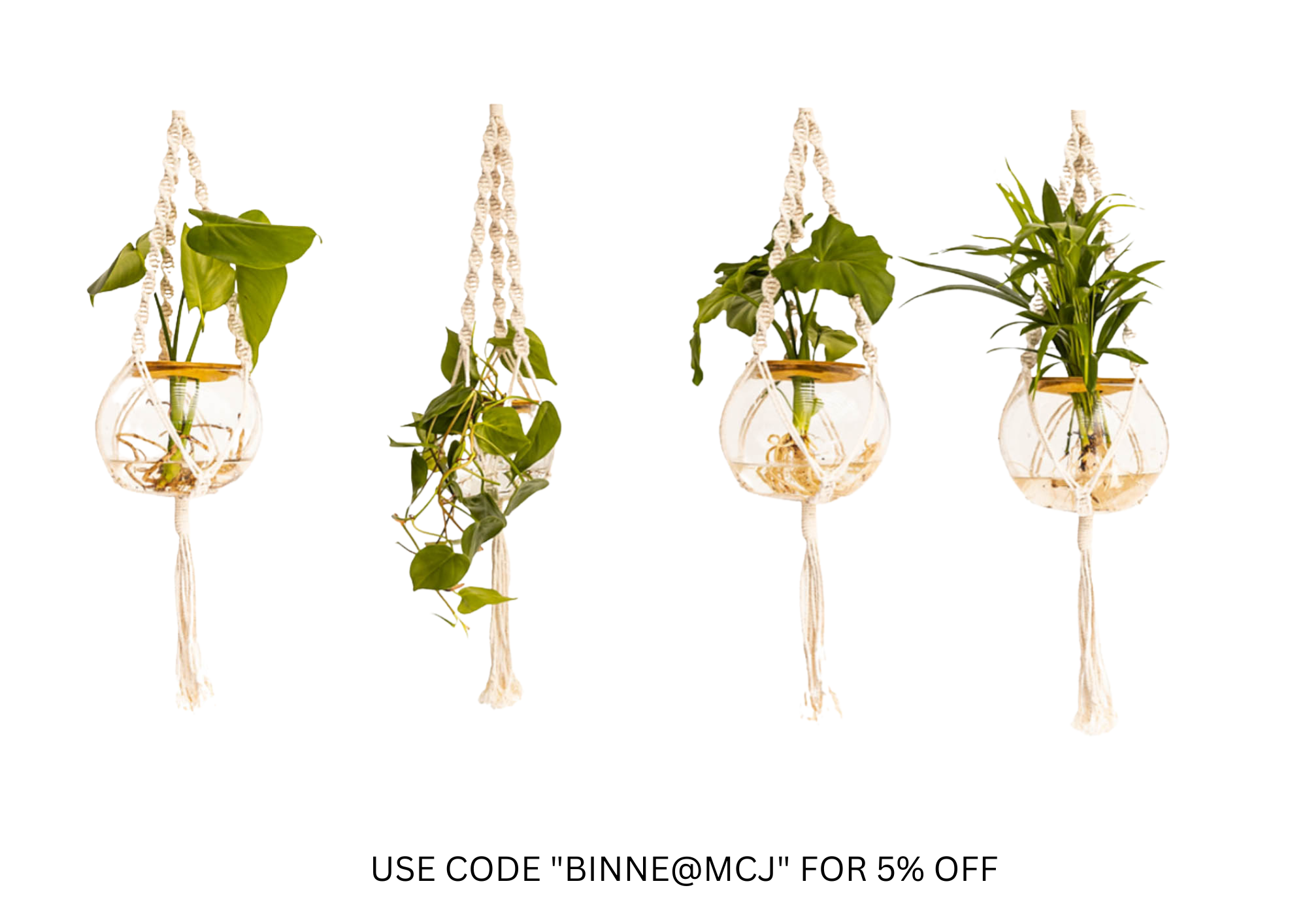 Suspended hydroponic plants