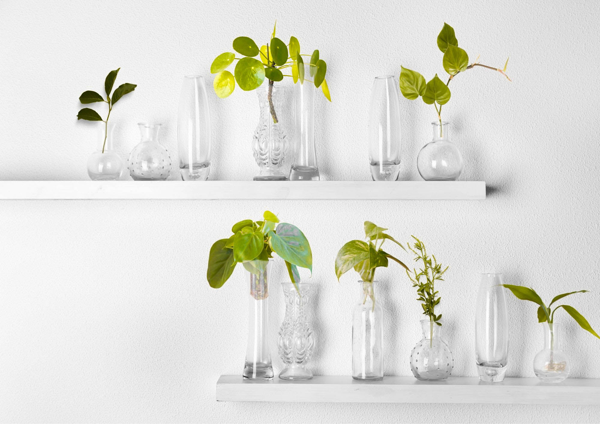 Glass containers with plants