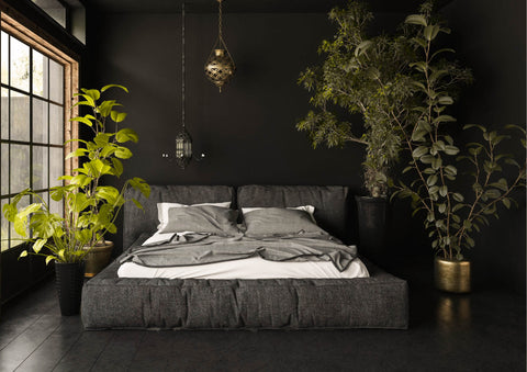 Plants in a dark bedroom