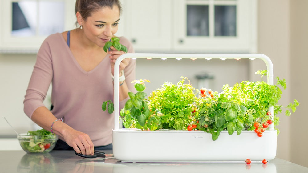 Woman enjoying the aroma of produce grown in the Smart Garden 9.