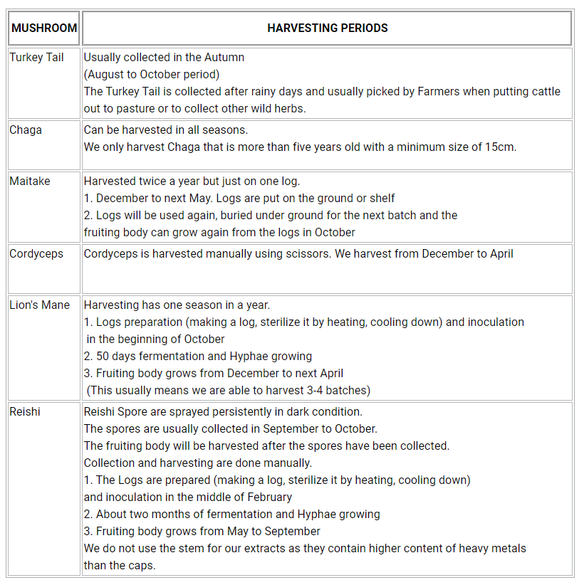 Mushroom Harvesting Periods