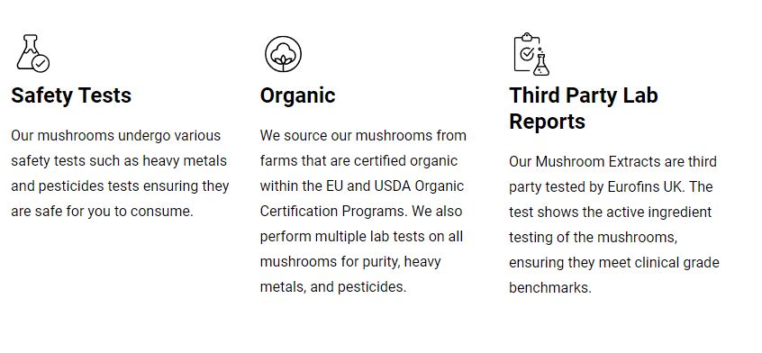 What to look out for when choosing a mushroom supplement