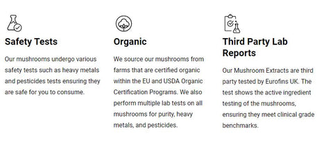 What to look for when choosing a mushroom supplement