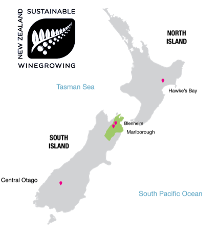 sauvignon blanc in new zealand