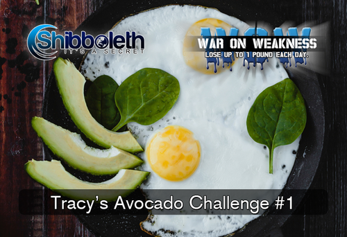 Tracy’s Avocado & Protein-Powered WOW Challenge – Just $2.99 for Lifetime Access!