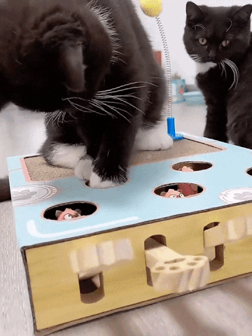 Cat Whack-a-mole Toy GIF Ad