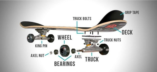 Anatomy of a skateboard by Modern Skate and Surf.  Get what you need