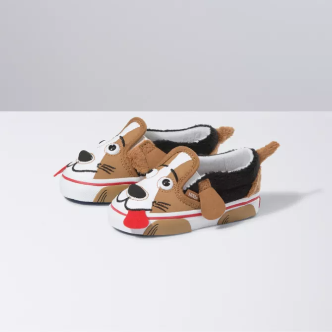 vans with dogs