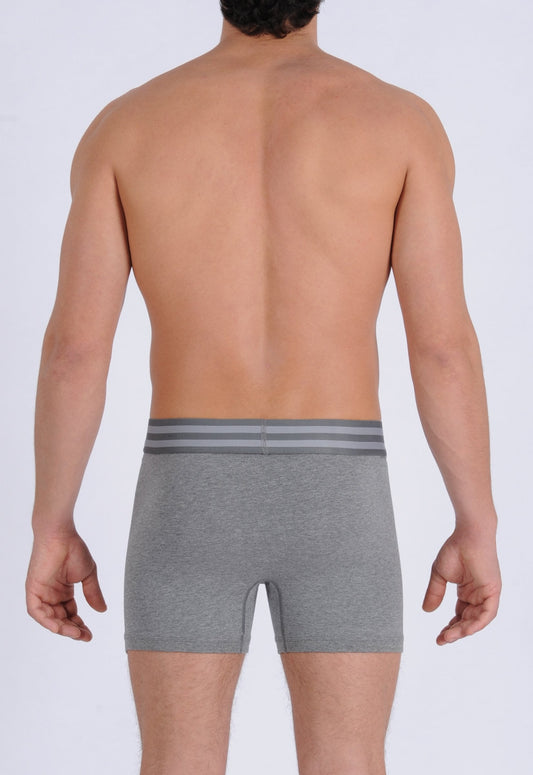 Signature Series - Low Rise Brief - Grey – Ginch Gonch