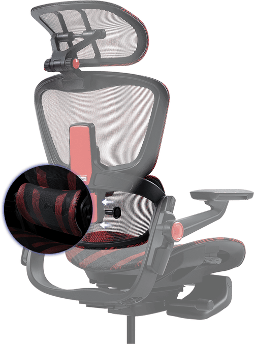 3D Lumbar Support Hinomi Gaming V2