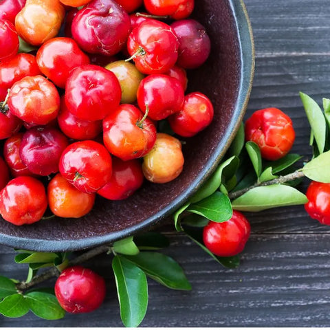 acerola piante per sistema immunitario