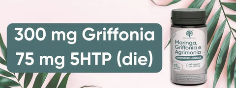griffonia 5htp supplement