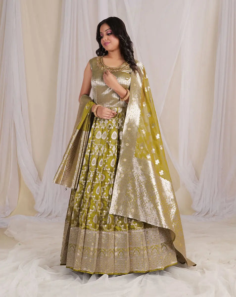 Long Banarasi Gown for Navaratri