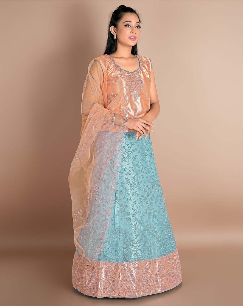 net lehenga choli with dupatta