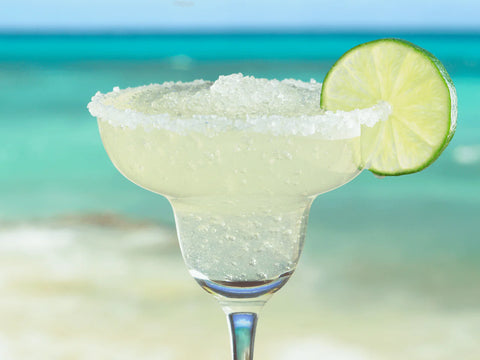 Frozen_margartia_1_1_480x480.webp?v=1727879825