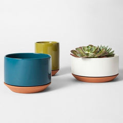 terracotta planters