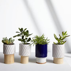 small planters 