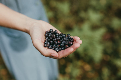 Wild blueberries boast some of the highest antioxidant levels among all fruits and berries