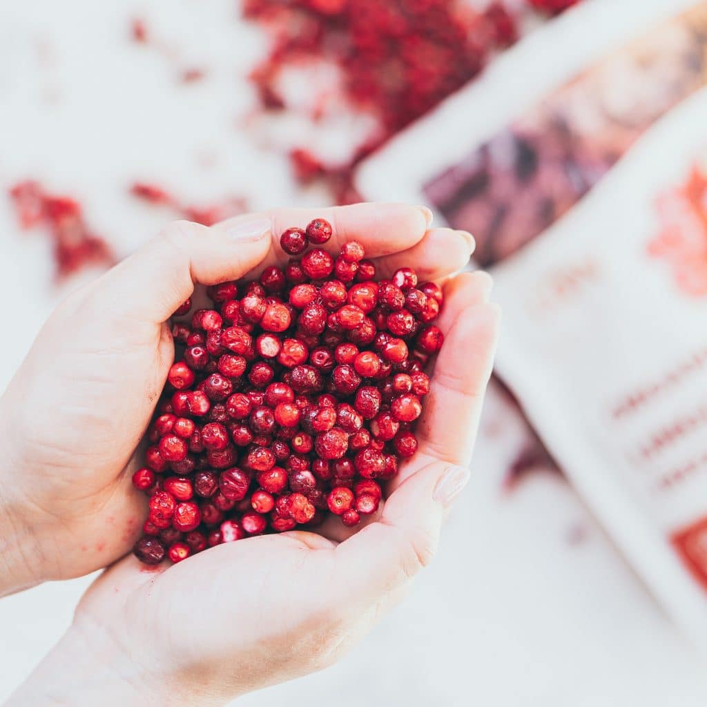 Lingonberry powder in a cup Lingonberries are superfoods with powerful antioxidant properties