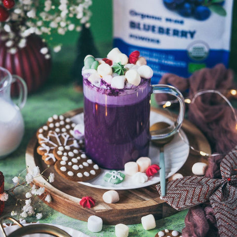 Wild Blueberry Hot Chocolate recipe