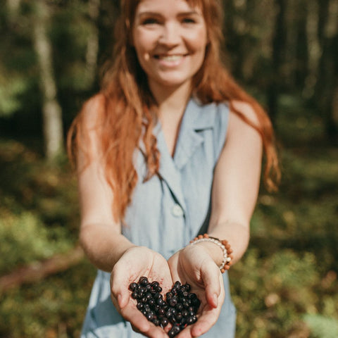 freeze dried fruit no sugar