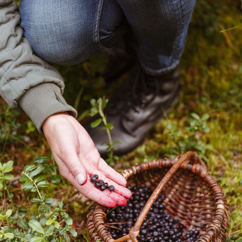 fresh blueberries