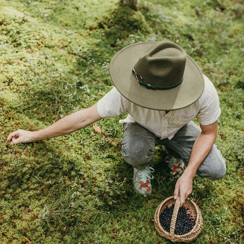 gathering berries from the forest