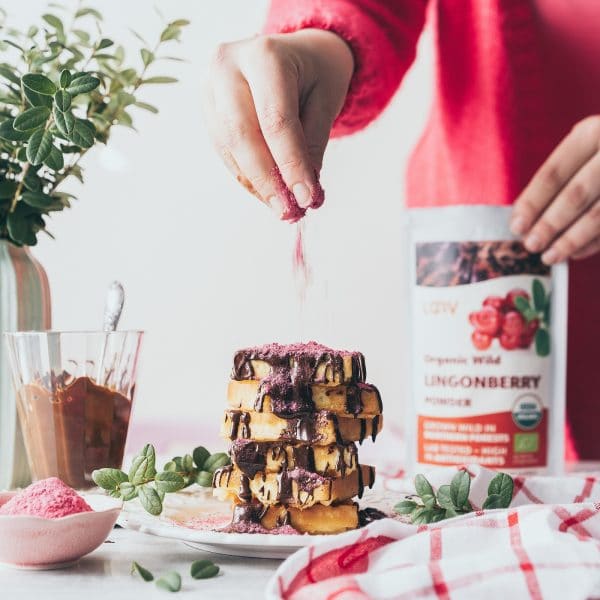 Lingonberry powder stacked with nutrients