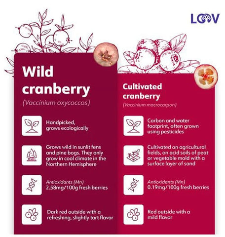 wilde Cranberry kultivierte Cranberry